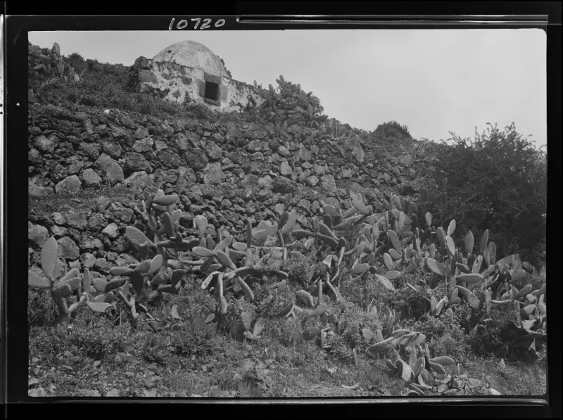Horno de leña Villa de Mazo. 
